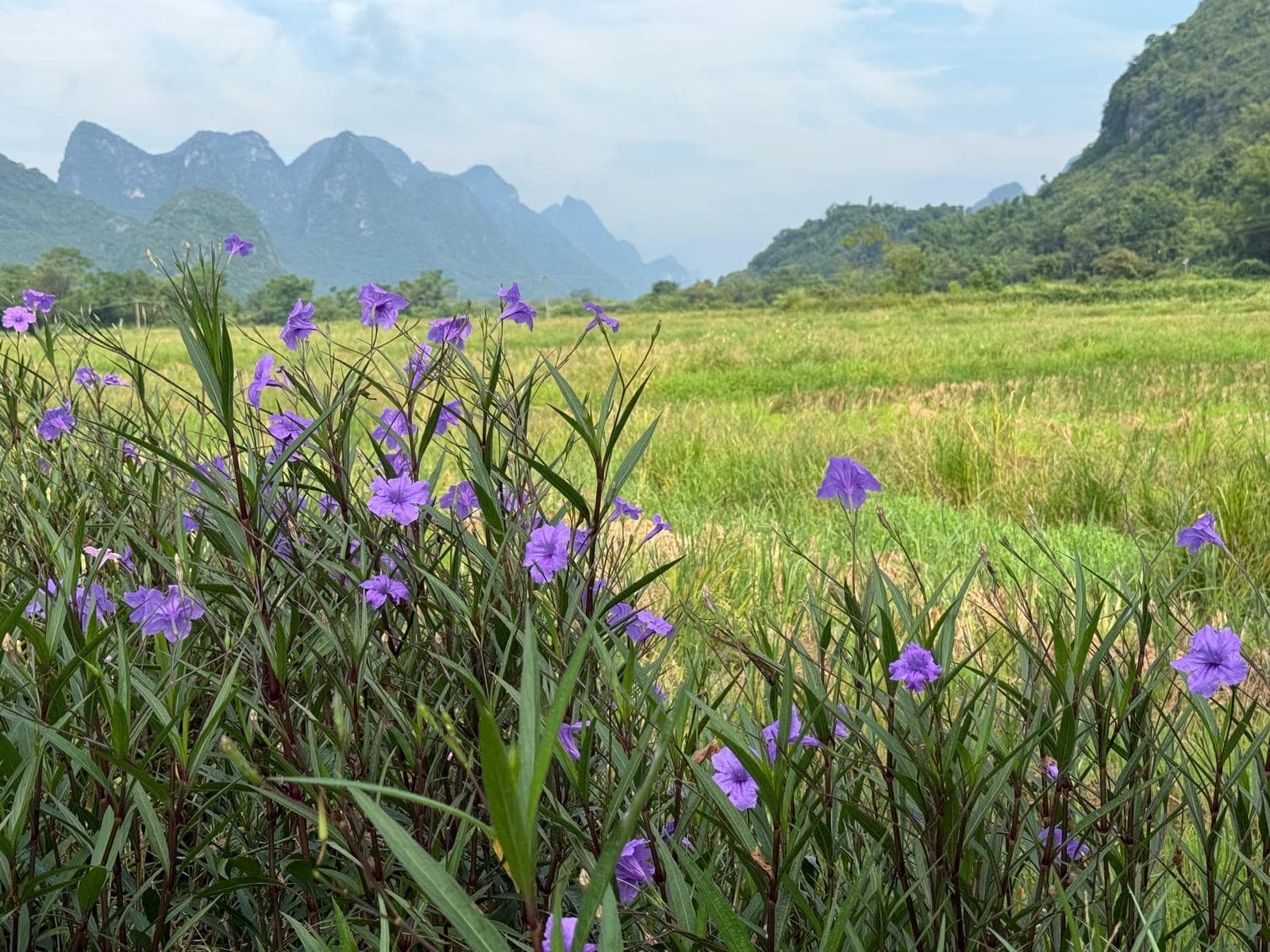 WhatsApp Image 2025-10-17 at 18.05.04