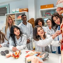 TCM Lessons TCM Lessons